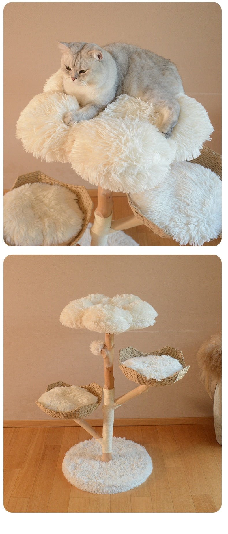 Midoora™ Cat Tree - Midoora store