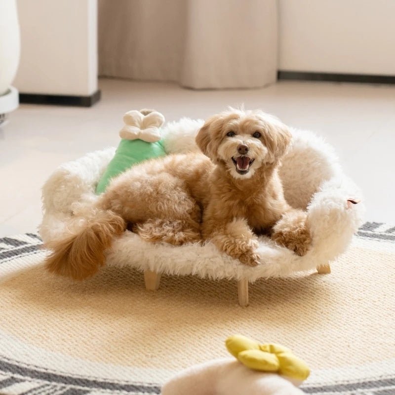 Midoora™ Wooden Luxury Pet Bed – for Cats & Small Dogs - Midoora store