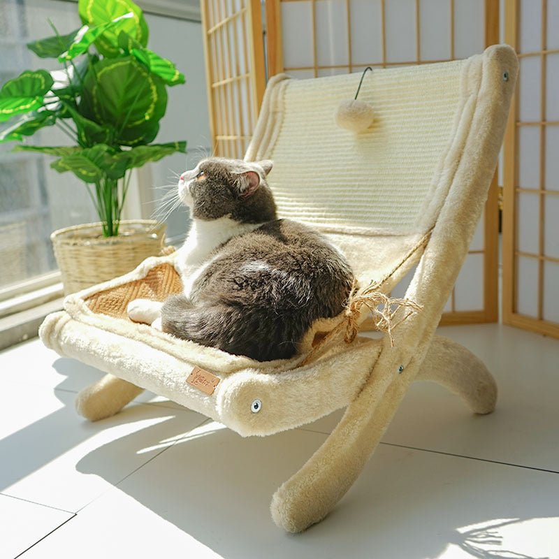 Midoora™ Luxury Pet Sofa Bed – Cozy Sunbathing Chair for Cats - Midoora store